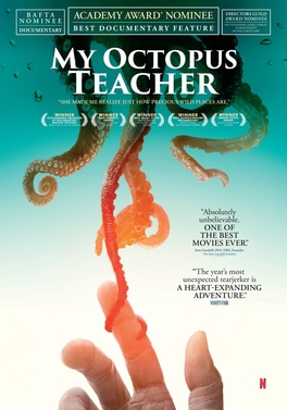 My Octopus Teacher kapağı